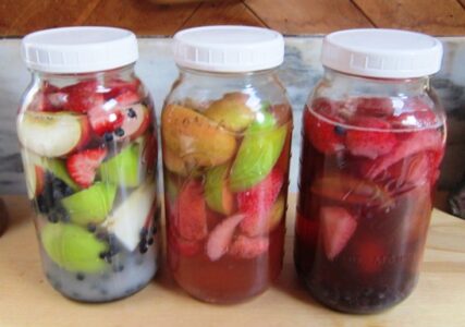 How to Make Fruit Kvass with Probiotic Benefits Image